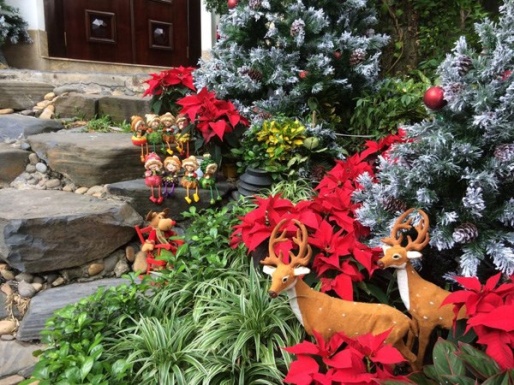 TỔNG HỢP Ý TƯỞNG THIẾT KẾ SÂN VƯỜN ĐỘC ĐÁO